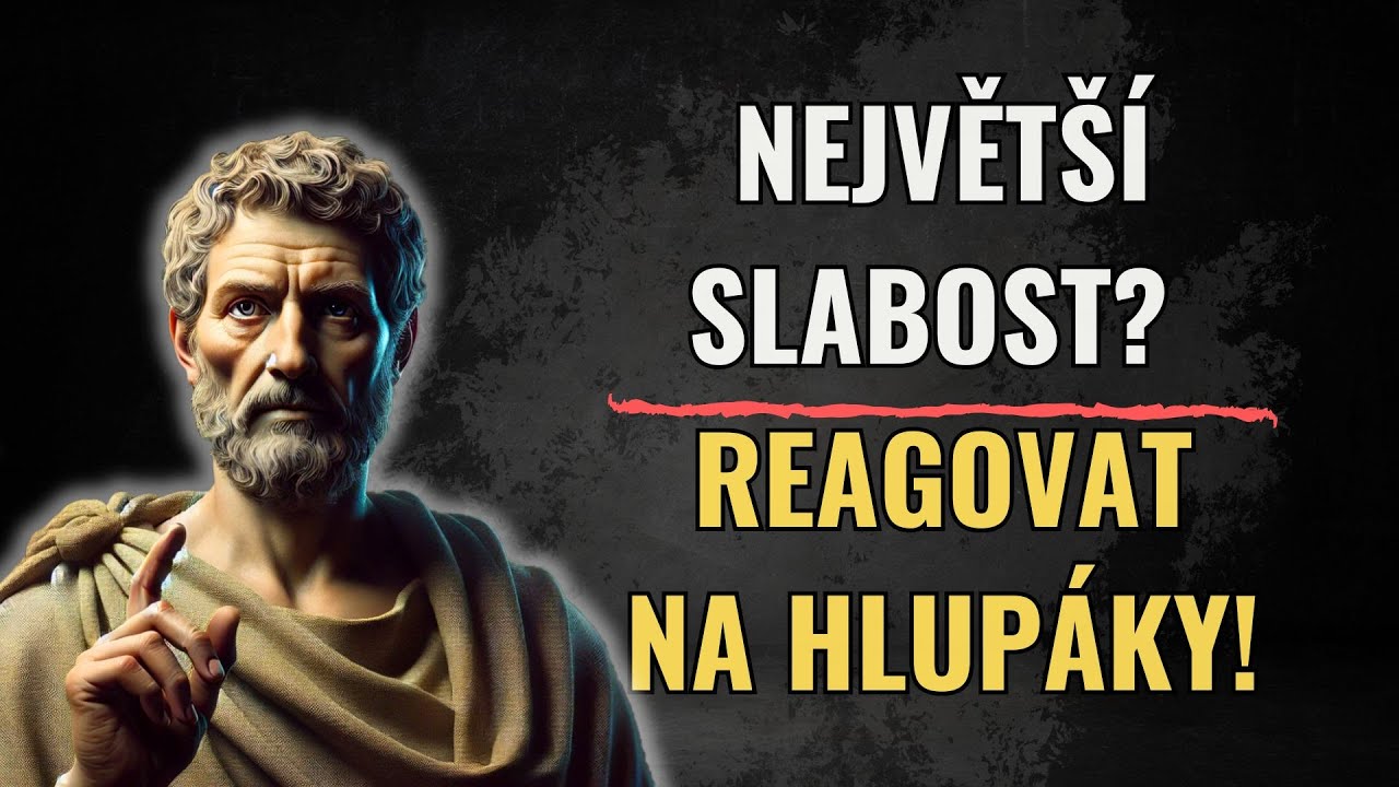 15 Stoických Pravidel, Jak Získat Respekt a Nedat Šanci Neúctě! | Stoicismus