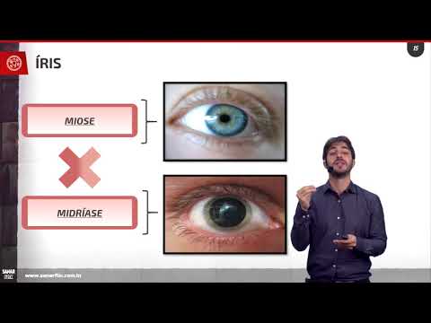 Vídeo: Saúde Ocular E Da Visão: Anatomia Ocular, 11 Condições Oculares E Muito Mais