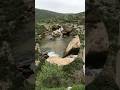 Window to nature. Spring in northern Israel  #short