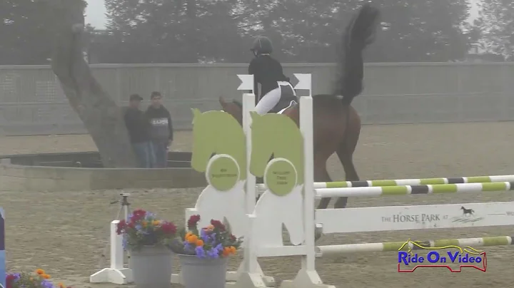033S Anna Weston Smith on Johnny Royal JR Training...