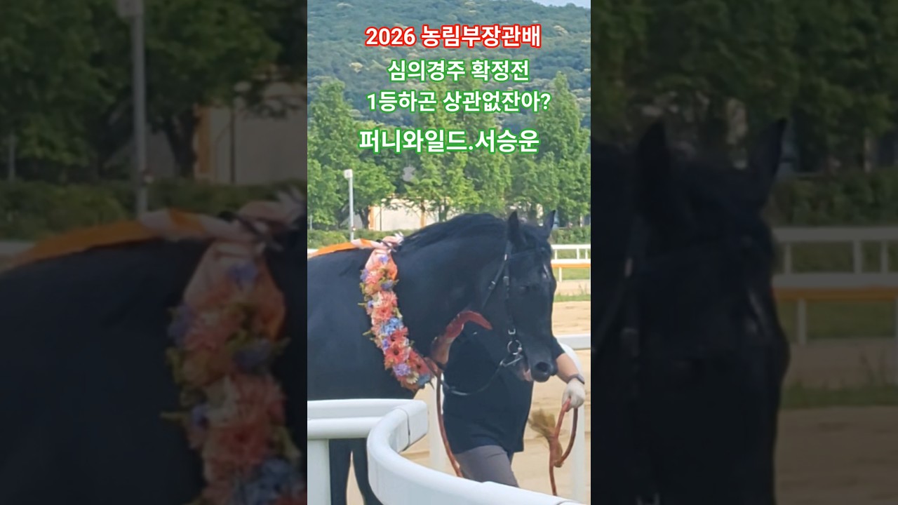 시상식 늦었어!#경마 #말 # 달려라말 #shorts #대상경주