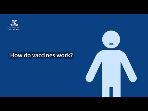 The science behind the search for a COVID-19 vaccine: How do vaccines work?