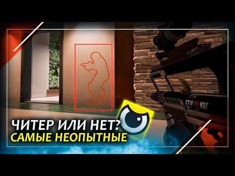 Видео: Читер или нет? Читеры новички | Rainbow Six Siege