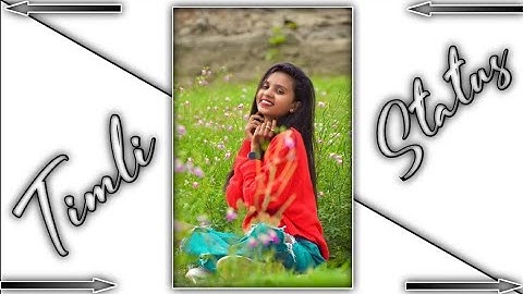 Jagdish Rathva And Parul Rathva Timli Status 2022_New Gujarati Status 2022_Dj Remix Timli Status