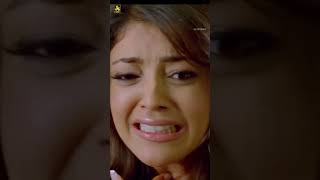 Kajal Aggarwal Hangover Scene - Maattrraan Suriya Kv Anand Harris Jayaraj J4