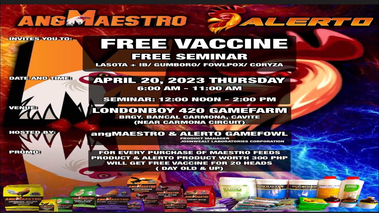 Basic Vaccination Program For Gamefowl Basic Vaccination Program For Gamefowl