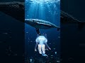 “Lost in the deep blue 🌊🐋✨#relaxing #ocean #viral #shorts