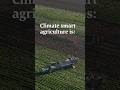 Climate Smart Agriculture at Whole Foods Market | Whole Foods Market