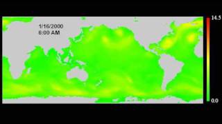 Global wave height