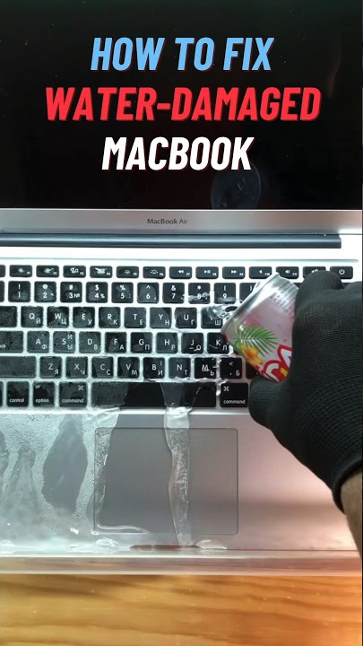 Water damaged Mac book and iPad, what to do ? : r/macbook