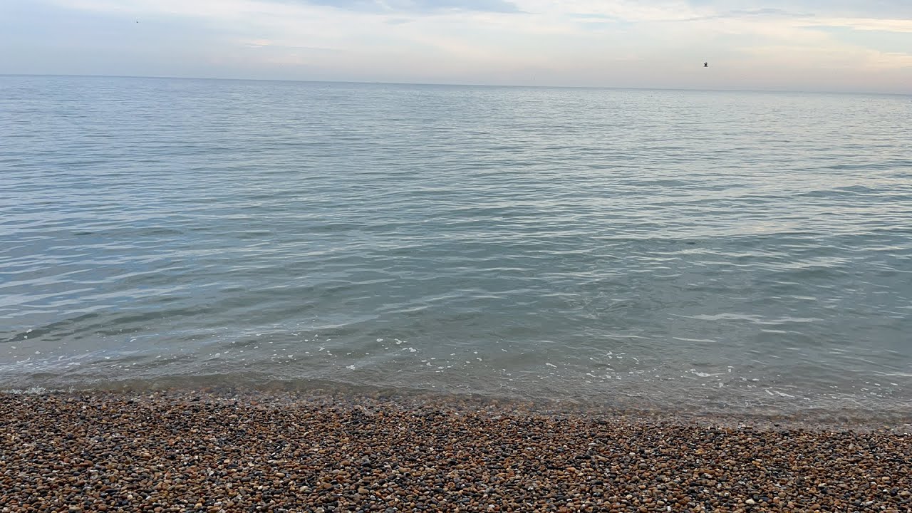 Live mackerel fishing from the beach 