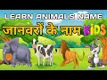 Animals Name | Learn Animals Name in English | Animals Name Basic English Learning | Daggu kids Tv