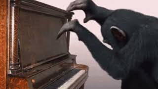 Starecrown sounds like........