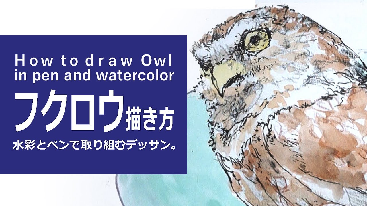 ペンと水彩絵の具のイラスト 描き方 絵の上達 フクロウ How To Draw ｏwl In Pen And Watercolor Youtube