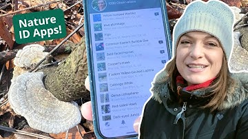 Identify Wildlife Using and iNaturalist and Seek Apps | Wildlife Biology for Kids Club