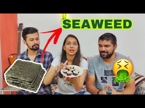 Indians Trying SUSHI | Trying SEAWEED | समुद्री सिवार | Japanese Food | Pahadi Korner | Himachali