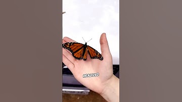 She saved a butterfly and let it go#ani#butterfly #save #kindness #love