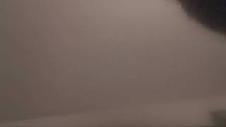 Cat Asmr Full Video