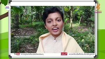 First Bell 2.0 STD 04 Environmental Studies Class 19