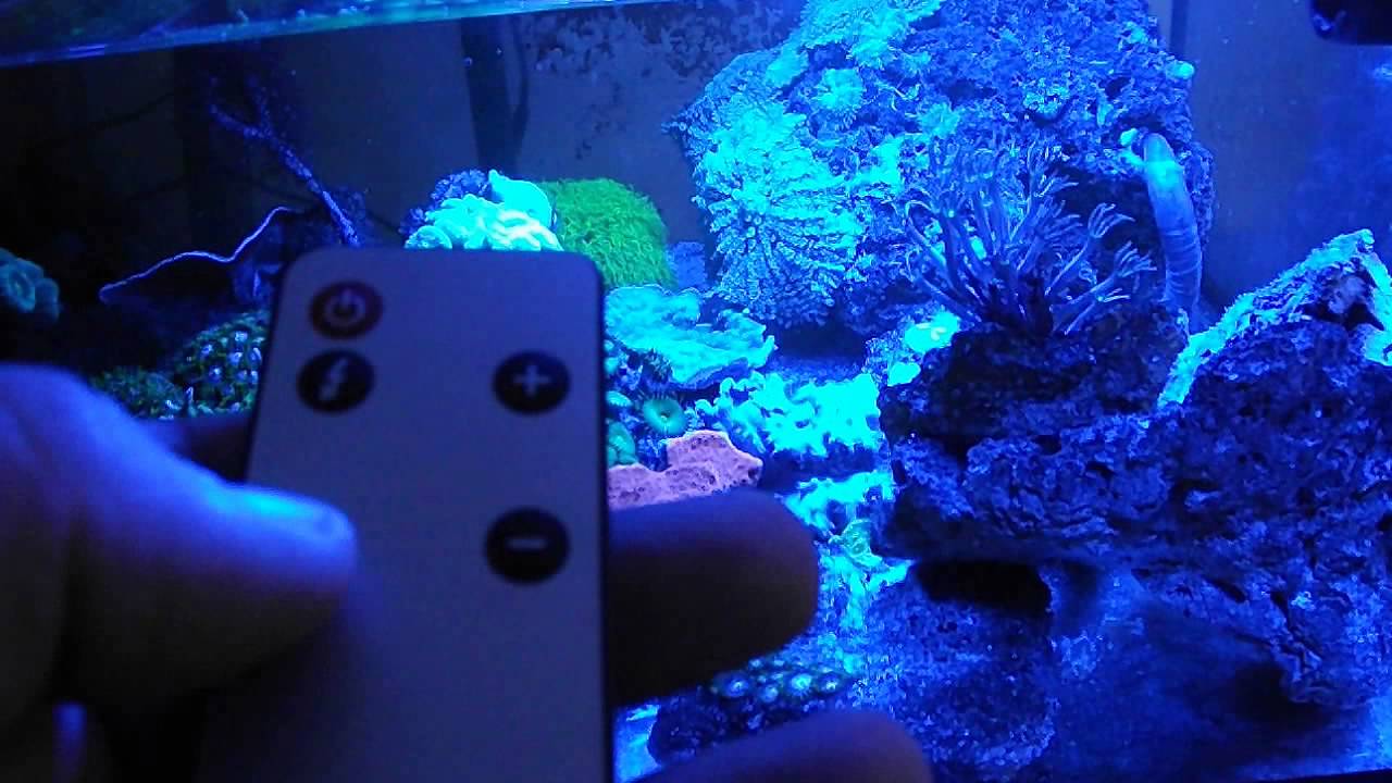 Rampe Led Lumivie Np22 Pour Aquarium En Mode Orage Youtube