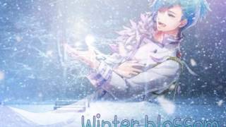 Winter blossom/美風藍