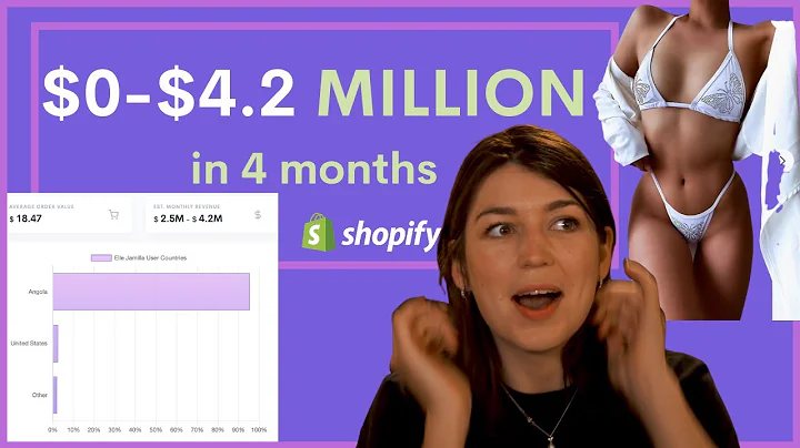 $0-$4.2 Million in Four Months: The Shopify Success Story You Need to Know