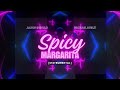 Jason derulo ft michael bubl  spicy margarita hq instrumental