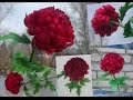 Мк хризантема из зефирного фоамирана MK chrysanthemum from marshmallow foamiran