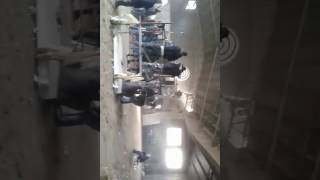 Circuitgang Movement Raveolver Soundsystem Free Party 4032017