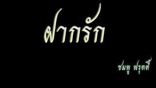 ฝากรัก - ชมพู ฟรุตตี้ (เพลงประกอบละคร ปริศนา) chords