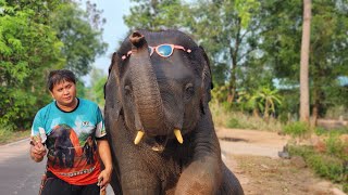 มิ่งแมวล่า🐘🍌🥔🥝🥭หิวๆ😋