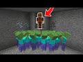 FAKİRE ZOMBİLER SALDIRIYOR! 😱 - Minecraft