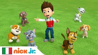 PAW Patrol | Il video della 'Canzone dell'amicizia' 🐾 | Nick Jr.