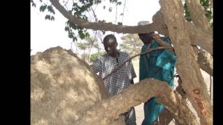 Twentyone people become Muslim , Masjid built one year later, Senegal West Africa