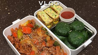 Korea's single-person household lunch box Vlog