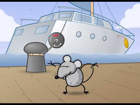 Rat Guards for ropes