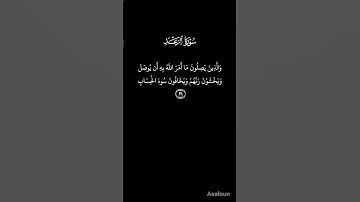 #قران_كريم ما تيسر من سورة الرعد 🤍