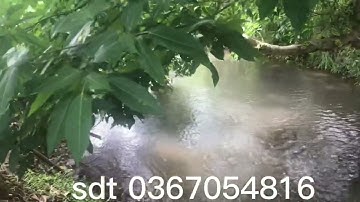 đừng bỏ lỡ cơ hội đầu tư - đất láng lớn huyện châu đức brvt