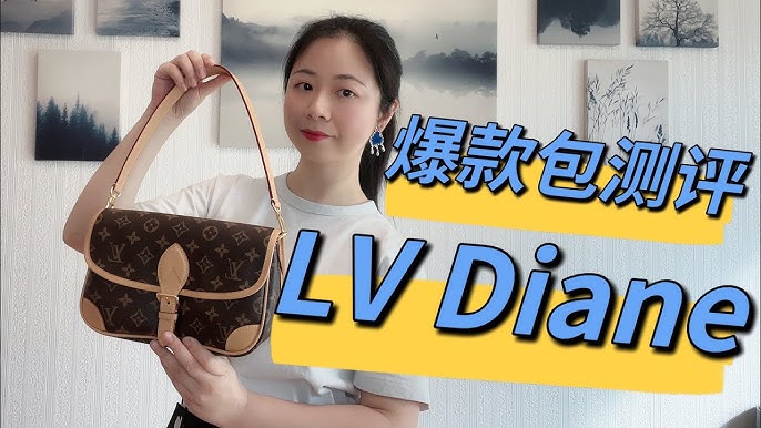 What fits in my bag? : LOUIS VUITTON DIANE 