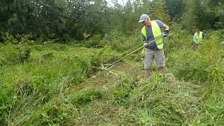 Workday on Brook Meadow 17 08 23