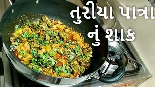 เชคเซเชฐเซเชฏเชพ เชชเชพเชคเซเชฐเชพ เชจเซเช เชถเชพเช | Gujarati Turiya Patra nu Shak