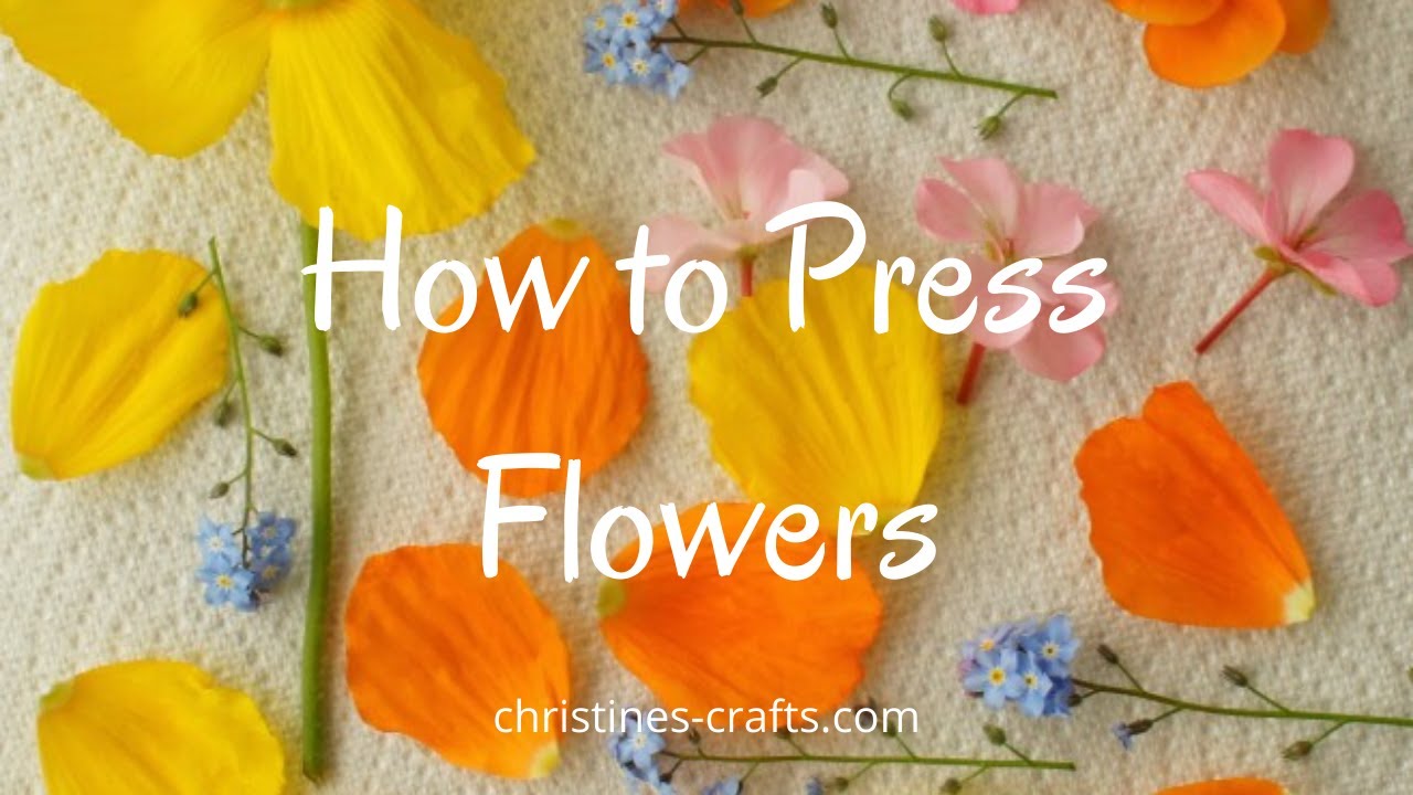 Learn How to Press FlowersIn the Microwave!