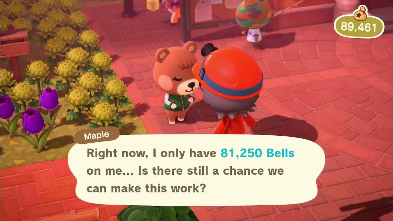 Acnh Maple I Only Have 81 250 Bells YouTube acnh-maple-i-only-have-81-250-bells-youtube