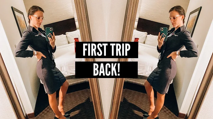 I'M A FLIGHT ATTENDANT AGAIN!  (again ) | Flight A...
