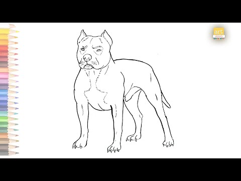 Pitbull dog outline drawing / How to draw A Pitbull  step by step / #artjanag