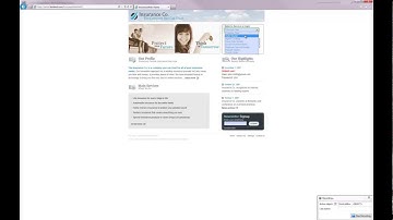 Recording a verification with Silk4NET