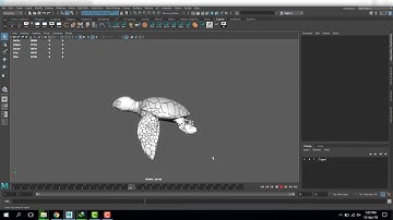 Turtle Animation