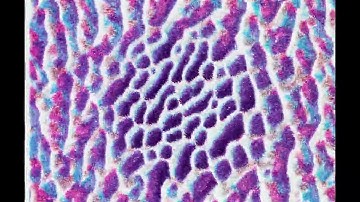 neural cellular automata laserprinted on 35mm film