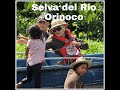 un viaje a la selva por el Delta del Orinoco