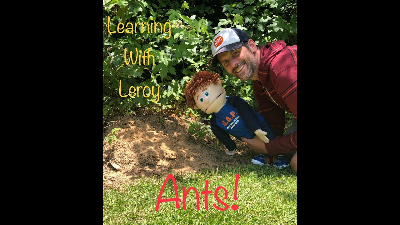 ants-bring-god-glory-bible-lesson-for-kids-learning-with-leroy